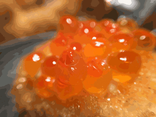food_02.gif